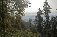Cjp_2012_10_19_075022.jpg
