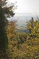 Cjp_2012_10_19_075100.jpg