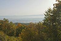 Cjp_2012_10_19_075410.jpg