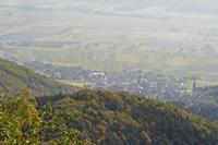 Cjp_2012_10_19_075622.jpg