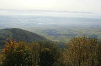 Cjp_2012_10_19_075942.jpg