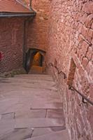 Cjp_2012_10_19_082506.jpg