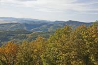 Cjp_2012_10_19_090622.jpg