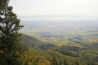 Cjp_2012_10_19_091630.jpg