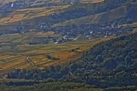Cjp_2012_10_19_092344.jpg