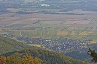Cjp_2012_10_19_092418.jpg