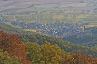 Cjp_2012_10_19_092516.jpg