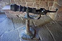 Cjp_2012_10_19_093508.jpg