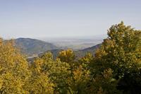 Cjp_2012_10_19_093820.jpg