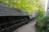 Cjp_2012_10_19_094536.jpg