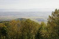 Cjp_2012_10_19_101426.jpg