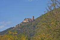 Cjp_2012_10_19_122602.jpg