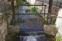 Cjp_2012_10_19_123814.jpg