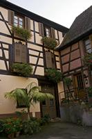 Cjp_2012_10_19_131134.jpg