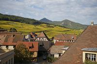 Cjp_2012_10_19_131407.jpg