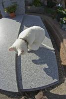 Cjp_2012_10_19_132820.jpg