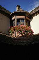 Cjp_2012_10_19_133507.jpg