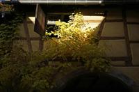 Cjp_2012_10_19_133734.jpg