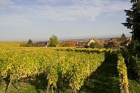 Cjp_2012_10_19_134838.jpg