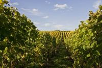Cjp_2012_10_19_135538.jpg