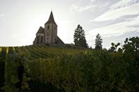 Cjp_2012_10_19_141130.jpg