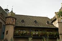Cjp_2012_10_20_123636.jpg