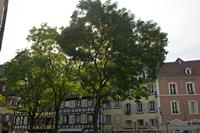 Cjp_2012_10_20_123648.jpg