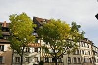 Cjp_2012_10_20_124246.jpg
