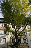 Cjp_2012_10_20_124730.jpg