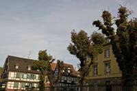 Cjp_2012_10_20_130824.jpg
