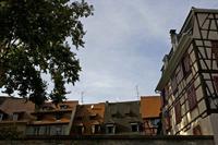 Cjp_2012_10_20_131644.jpg