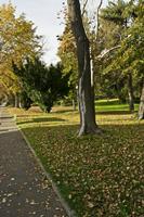 Cjp_2012_10_20_133116.jpg
