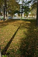 Cjp_2012_10_20_134650.jpg