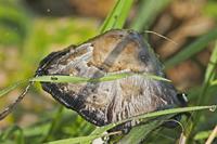 Cjp_2012_10_21_080822.jpg