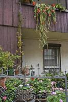 Cjp_2012_10_23_134758.jpg