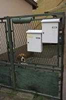 Cjp_2012_10_23_143414.jpg