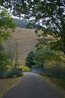 Cjp_2012_10_23_161138.jpg