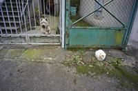 Cjp_2012_10_24_123448.jpg