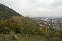 Cjp_2012_10_24_130446.jpg