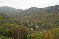 Cjp_2012_10_24_130930.jpg