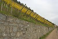 Cjp_2012_10_24_134402.jpg