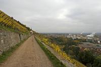 Cjp_2012_10_24_134410.jpg
