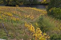 Cjp_2012_10_24_134456.jpg