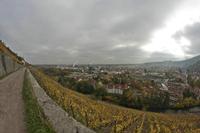 Cjp_2012_10_24_134804.jpg