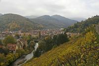 Cjp_2012_10_24_135348.jpg