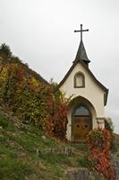 Cjp_2012_10_24_135452.jpg