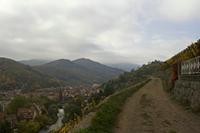 Cjp_2012_10_24_135550.jpg