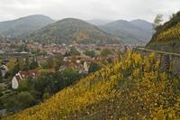 Cjp_2012_10_24_135832.jpg