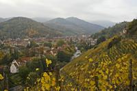 Cjp_2012_10_24_135930.jpg