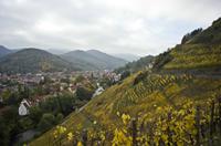 Cjp_2012_10_24_135956.jpg